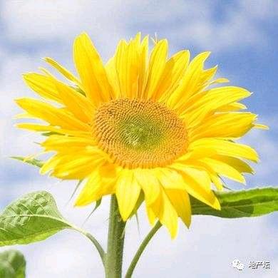 এ᭄姐的人生你不懂ృ༊