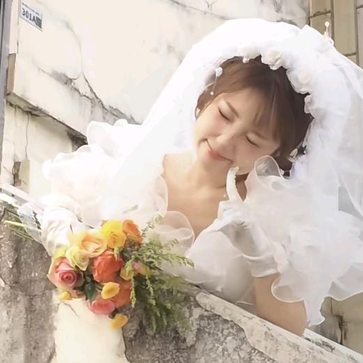耿耿耿耿子