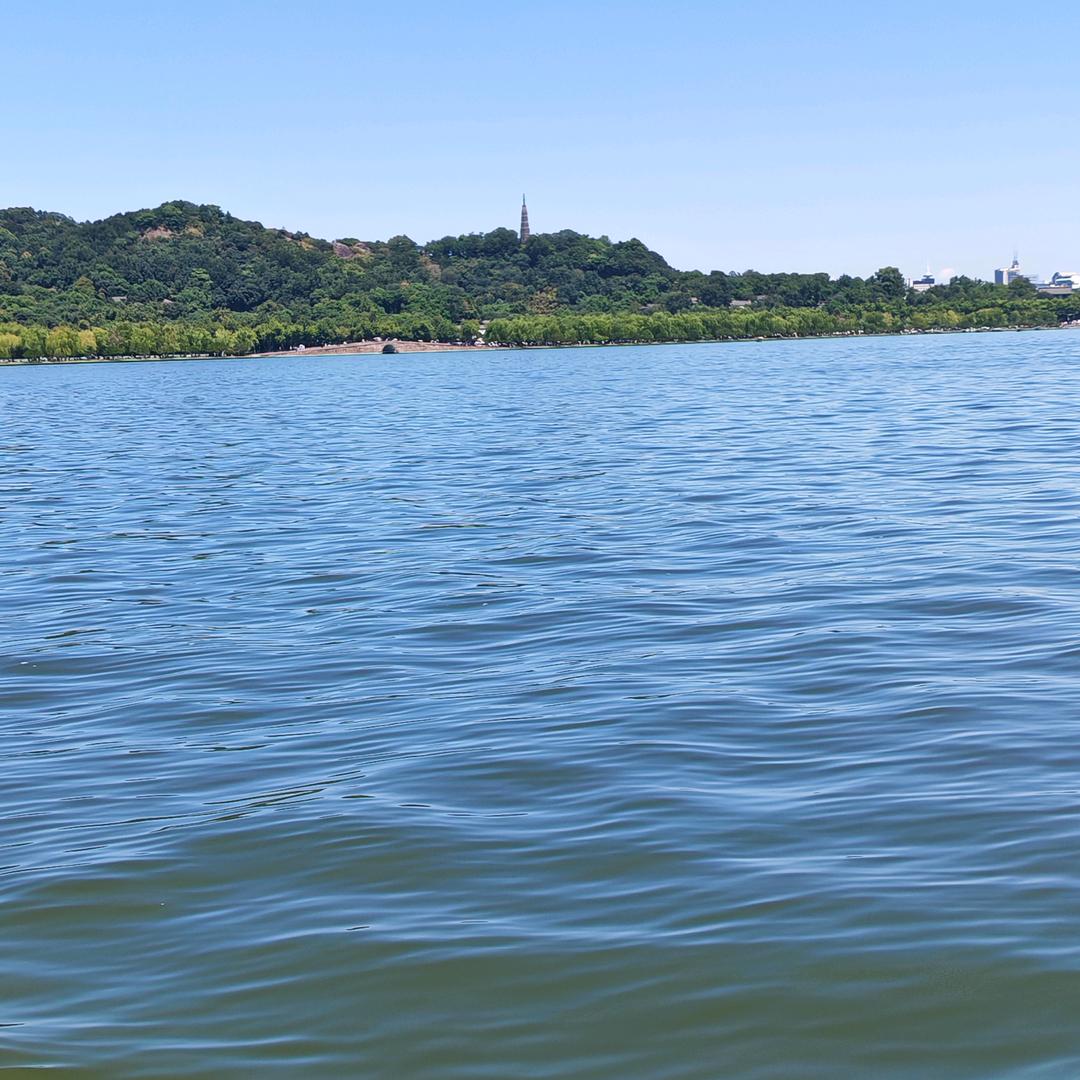 一直成长的镰刀