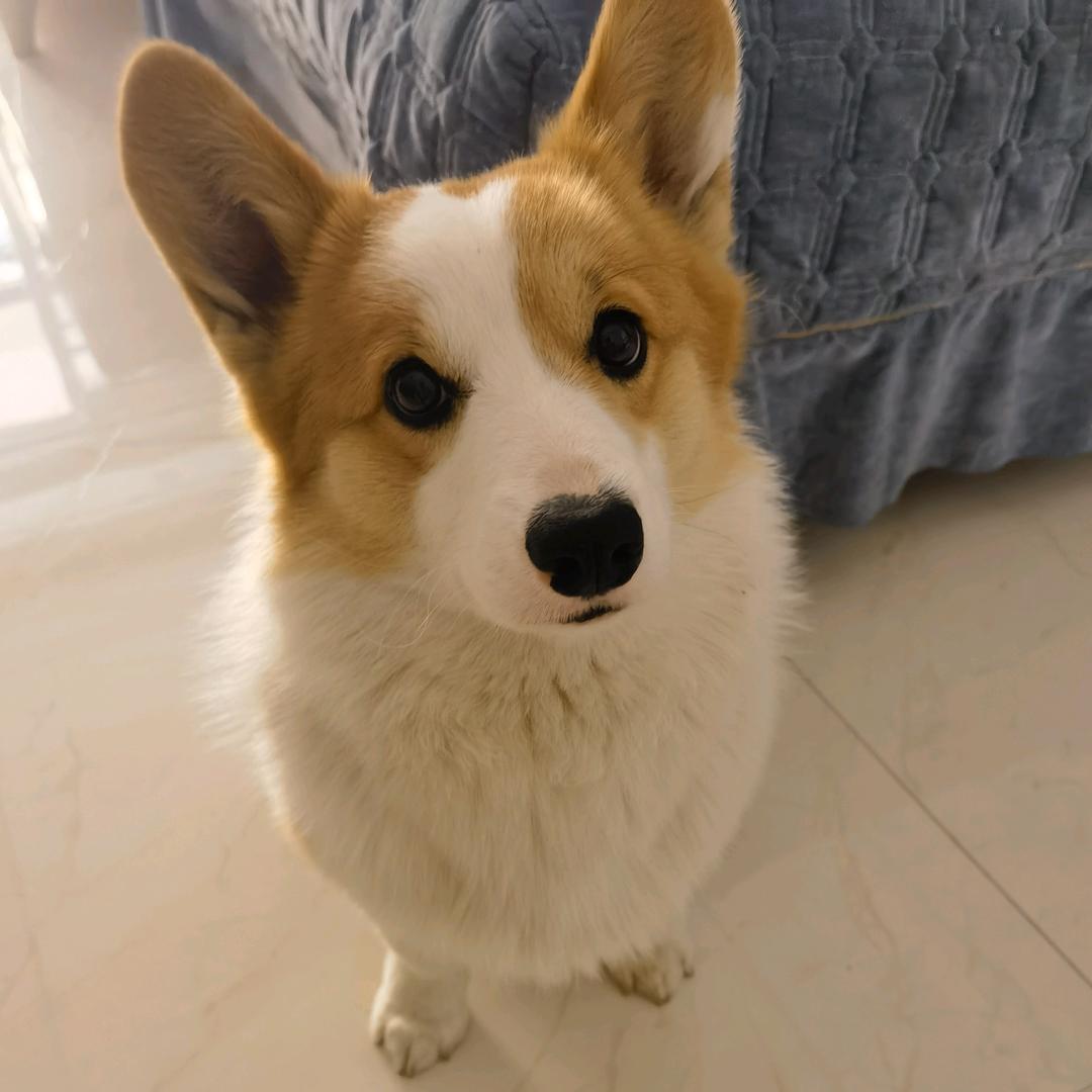 婷婷呀