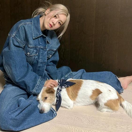 什么乱七八糟的