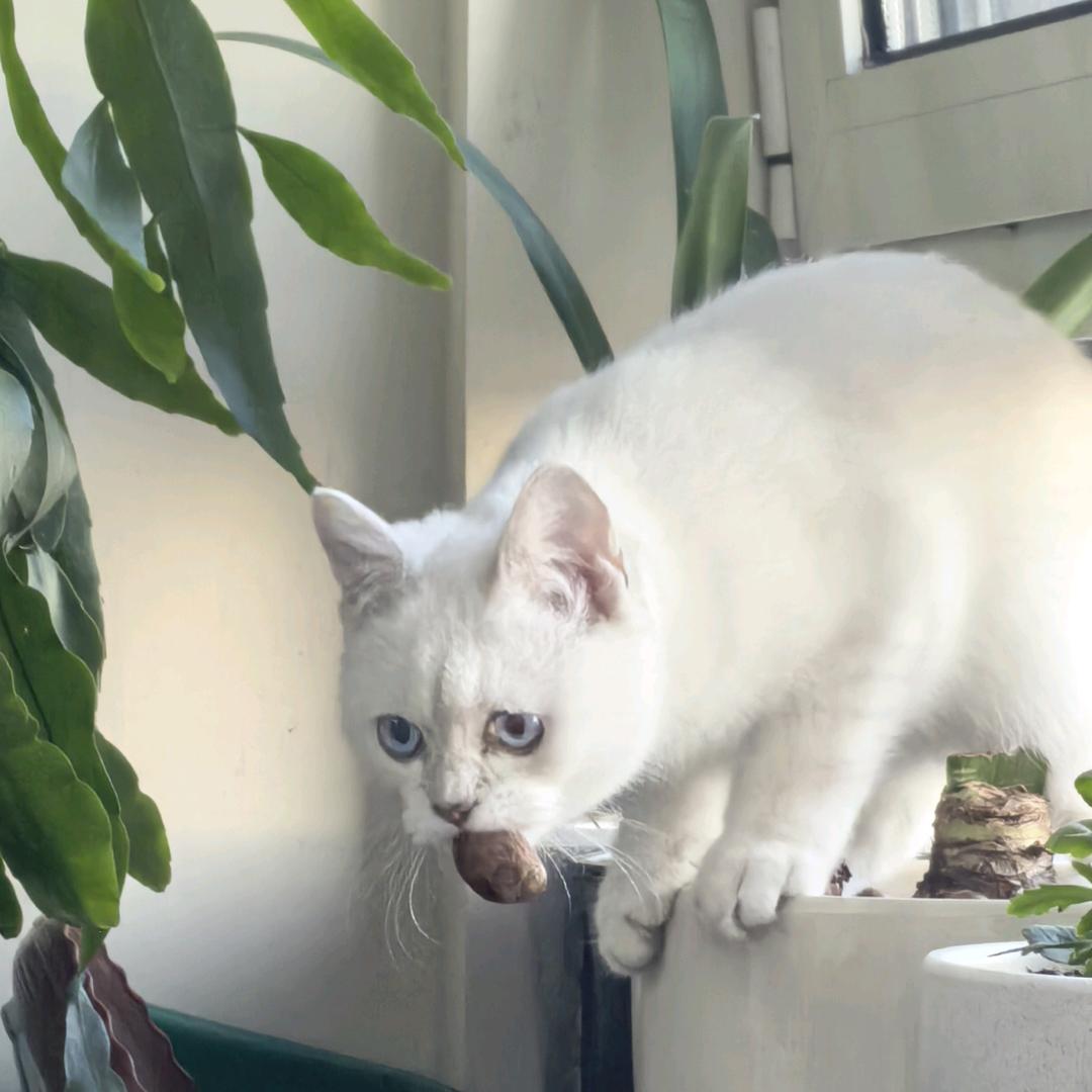 (⁎⁍̴̛ᴗ⁍̴̛⁎)