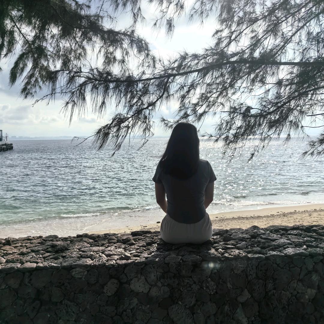 六六66