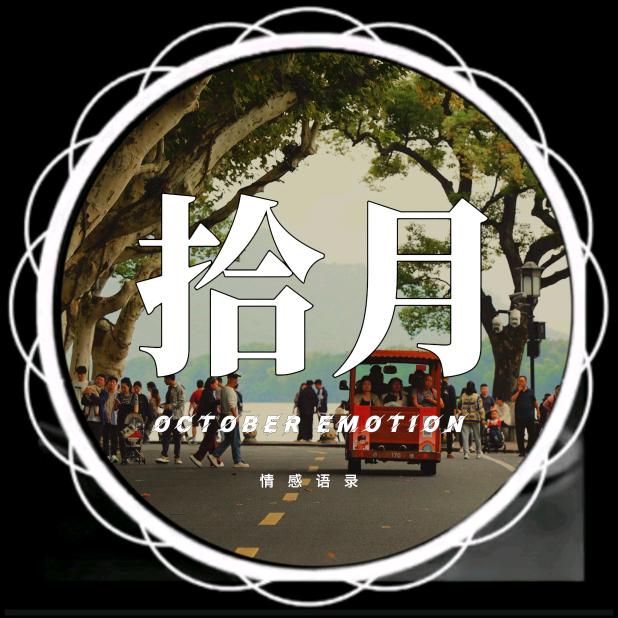 拾月情感