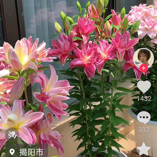 健康是福
