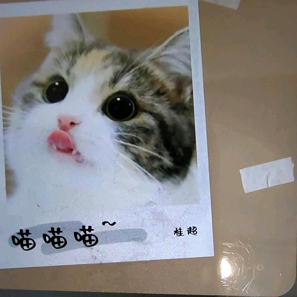 傻子，