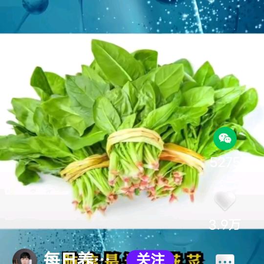 空心菜🌻🌻🌻