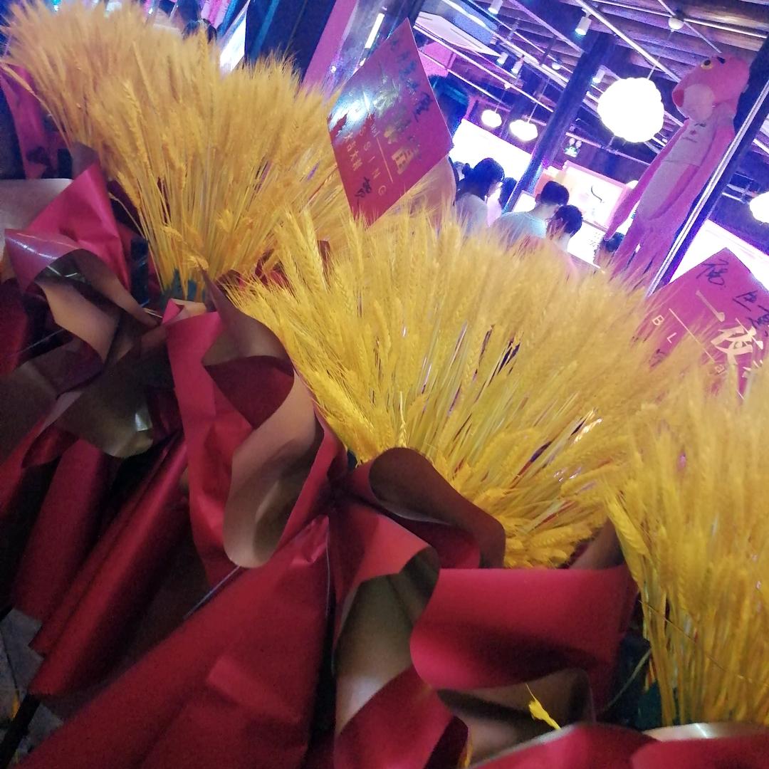 幸福(๑♥‿♥๑)常刘🔥