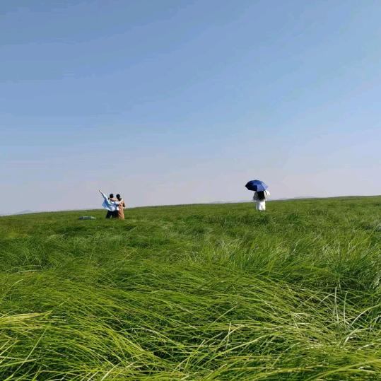 请叫我小主(｢･ω･)｢嘿