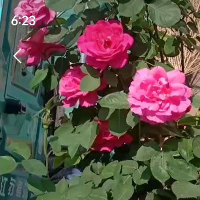 春暖花开🌸🌸