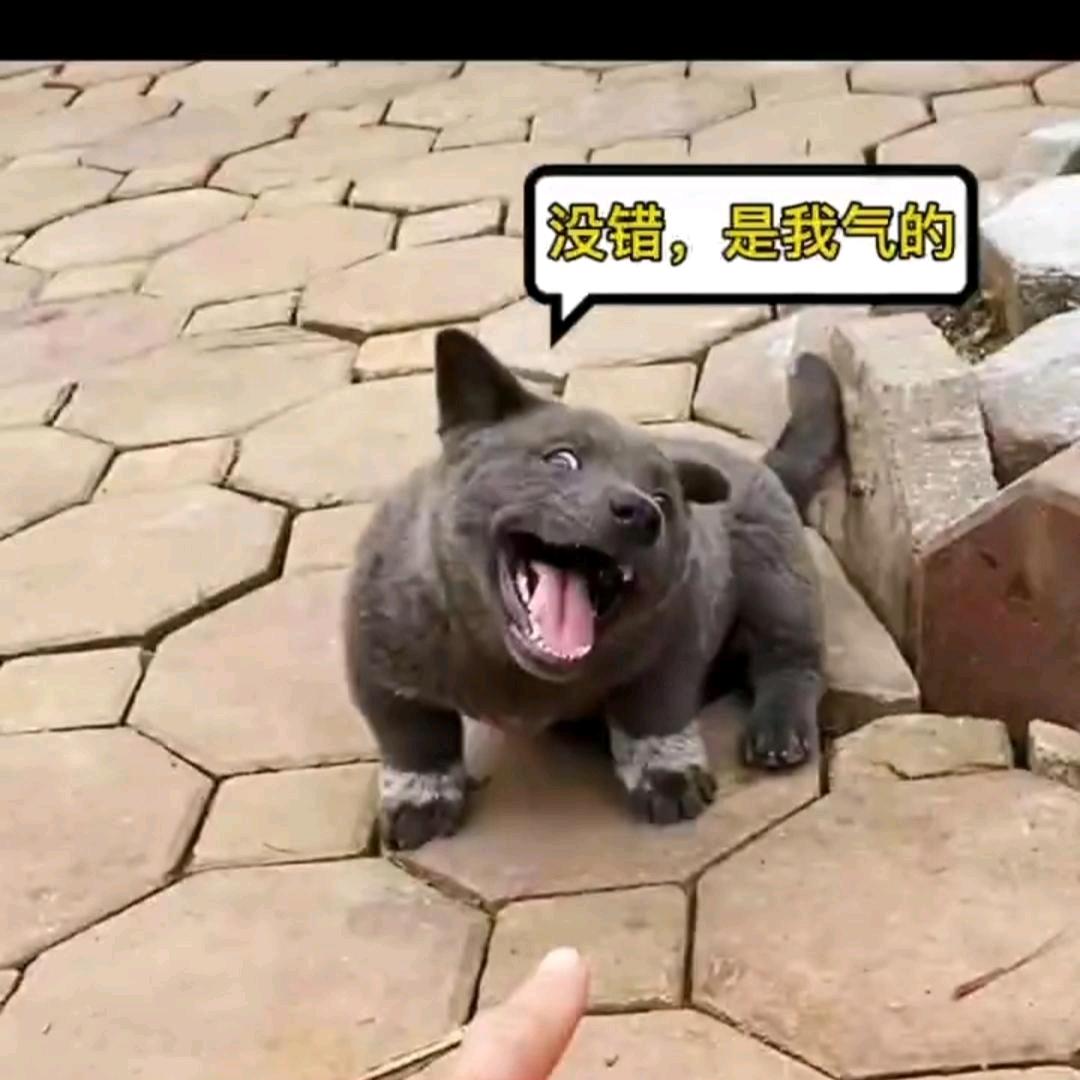 刀客