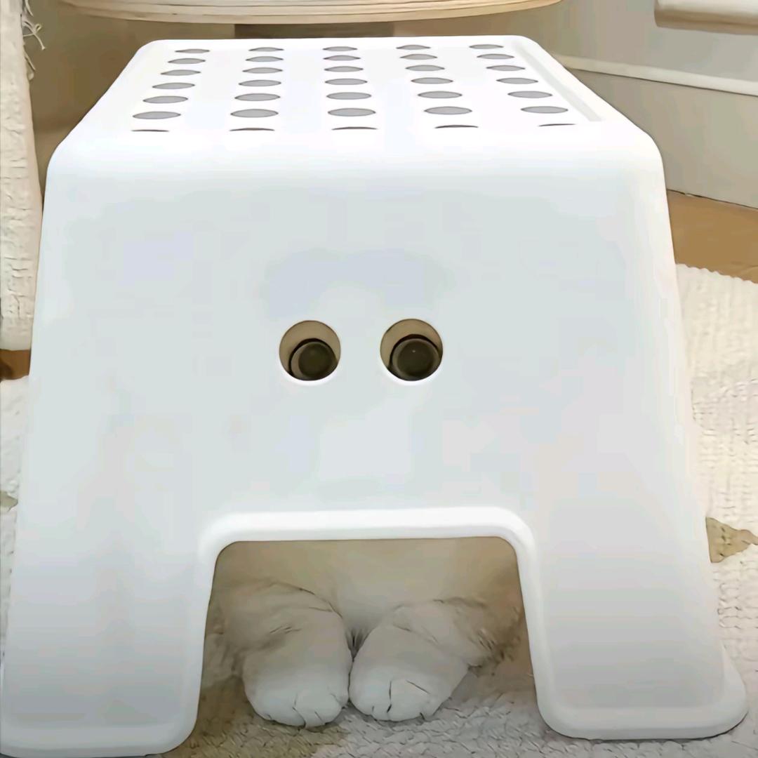 二十一R