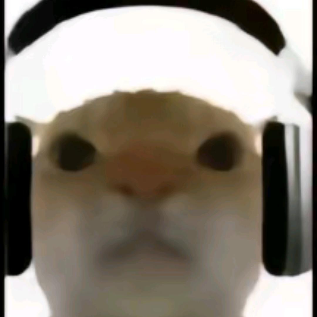 代跑小鼠（直播开跑）