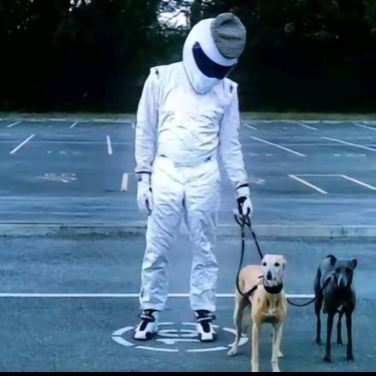 翻斗花园神车手