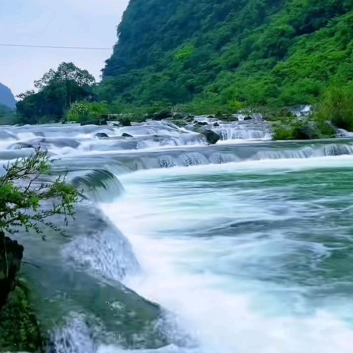 大山里的小蜜蜂