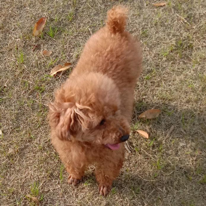 缘来如此🌹𡿨拒私聊）