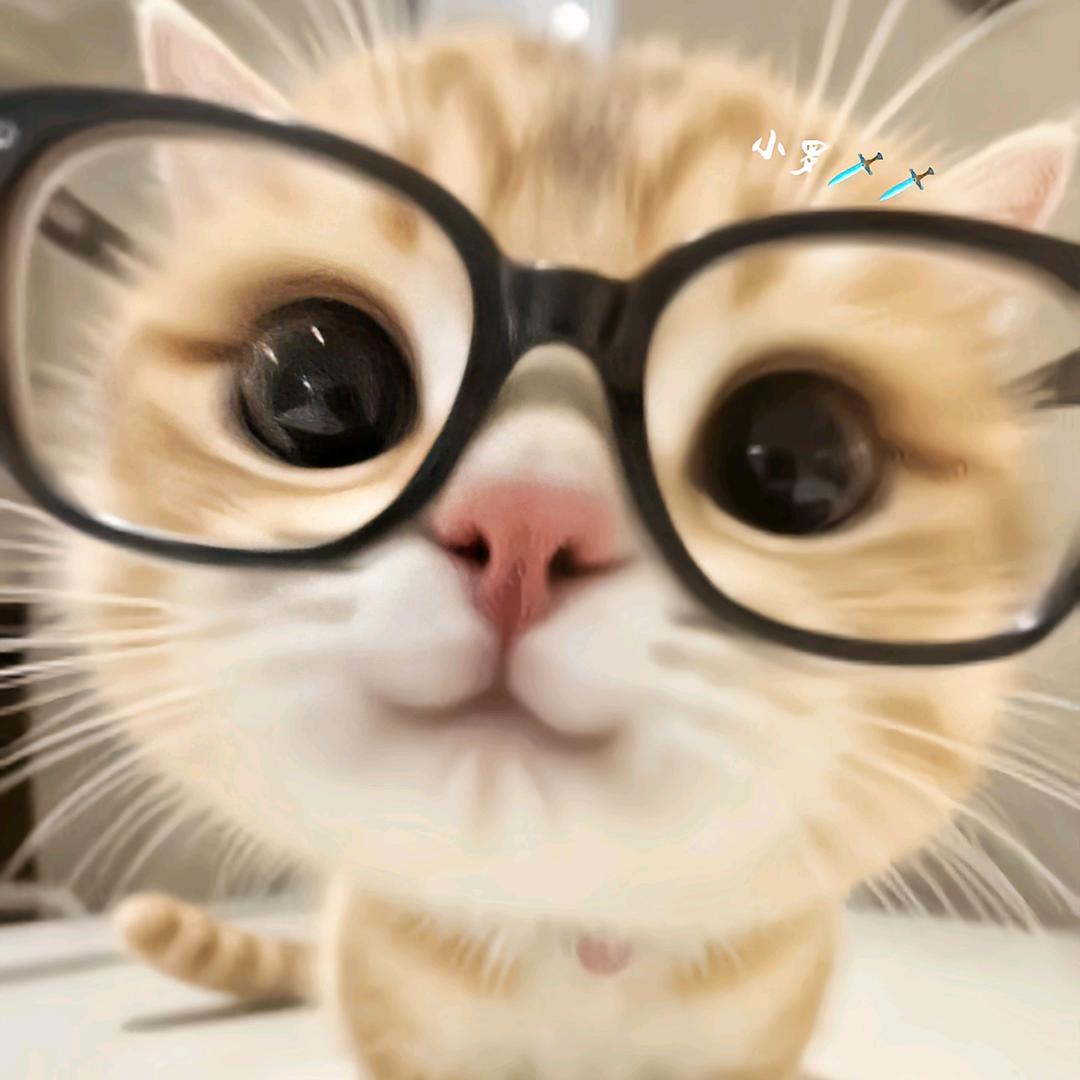 小罗