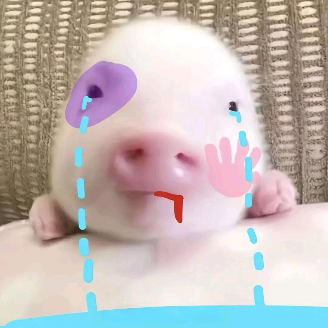 小二来瓶小白