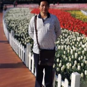 云南老茶—石先生