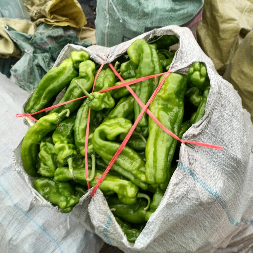 @芜湖椒，鲜花生，红薯产地直发