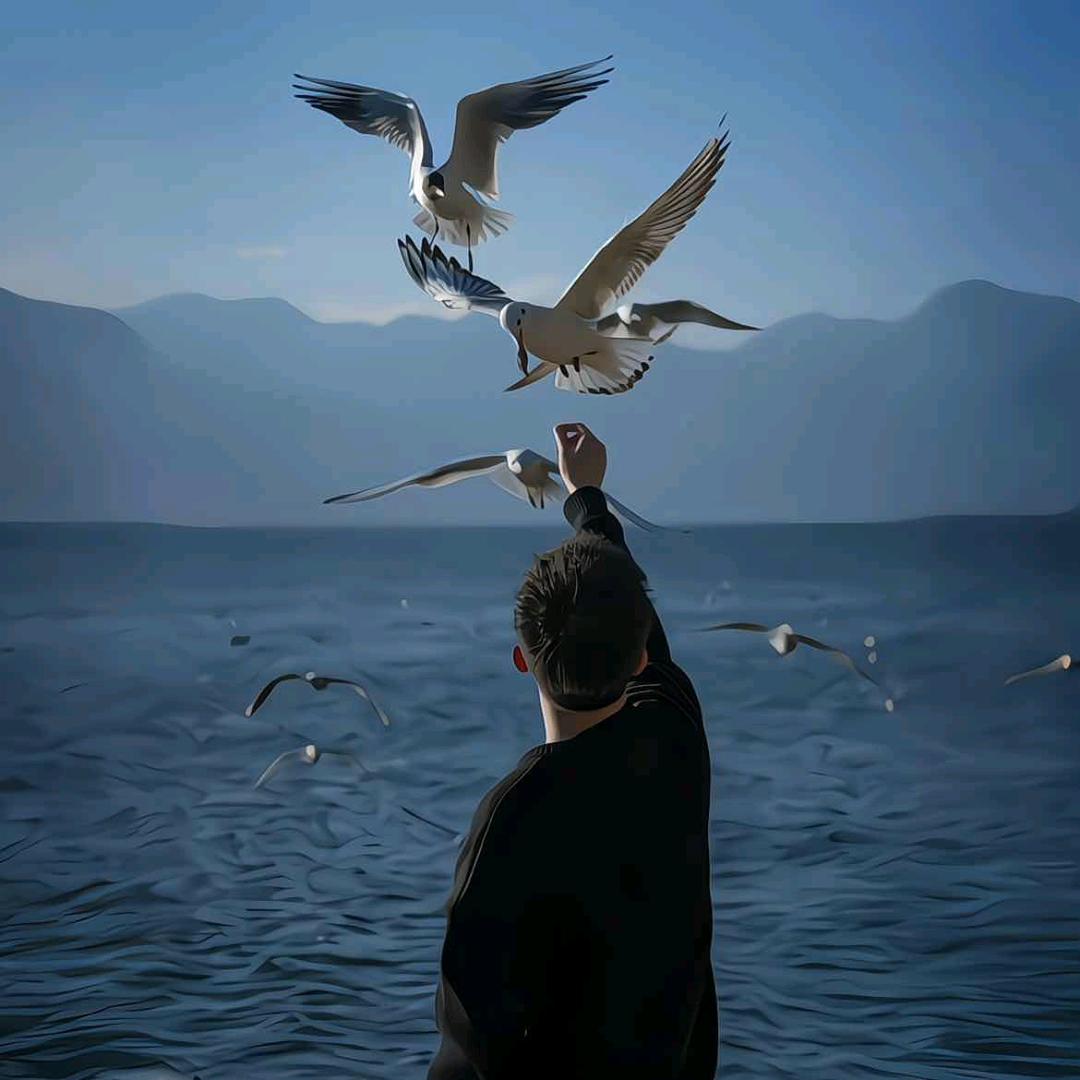 ㅤㅤㅤㅤㅤㅤㅤㅤㅤㅤㅤ