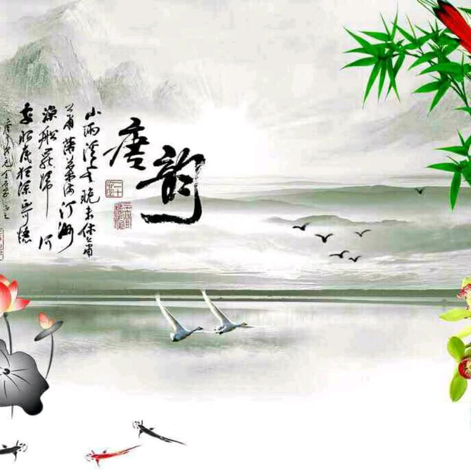 💫Wz杰