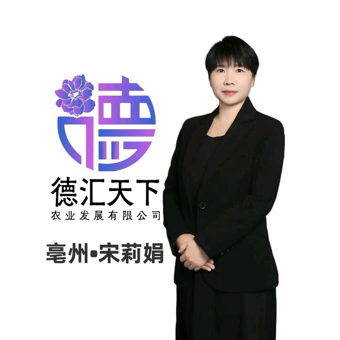 亳州宋老师—德汇天下