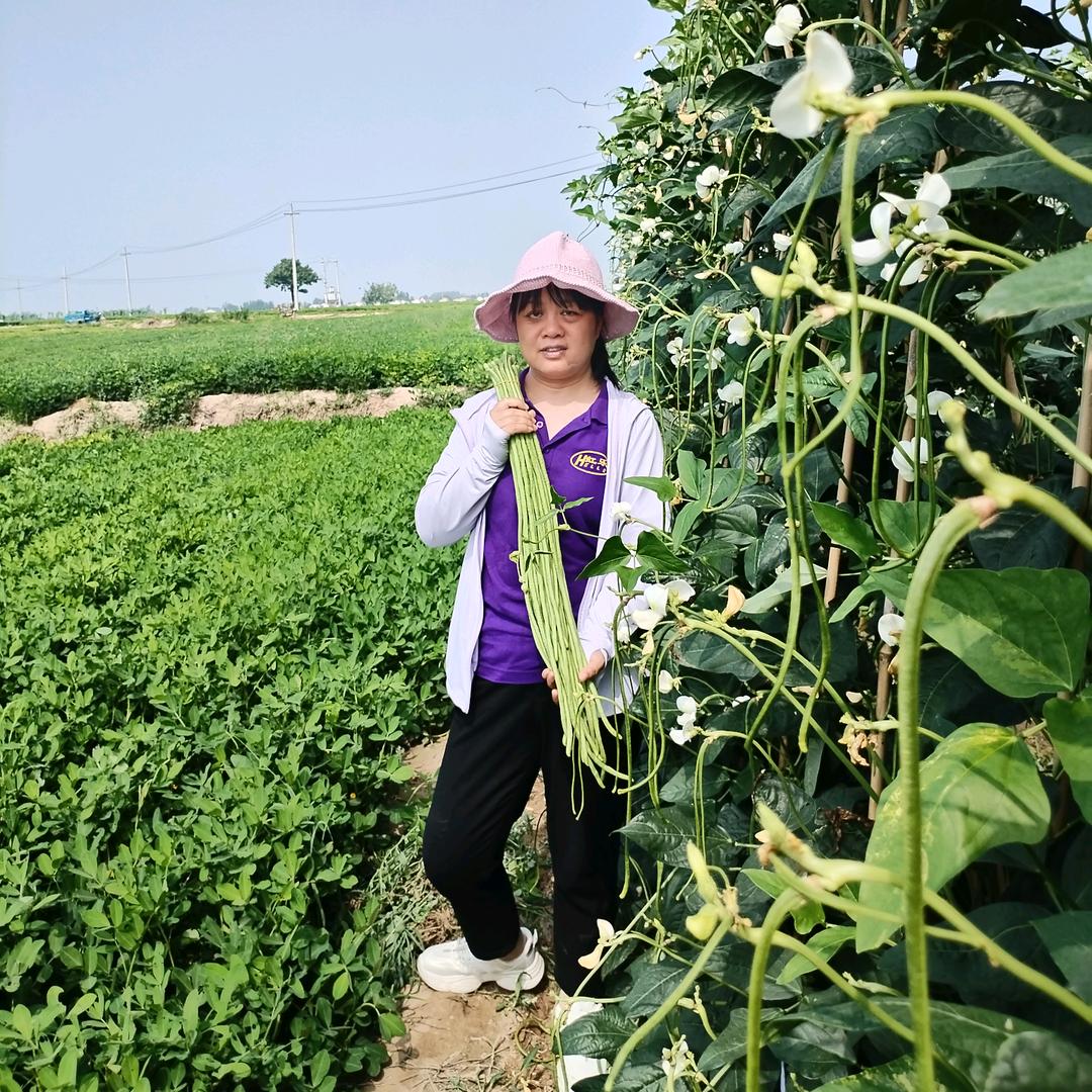 血玲珑🍎苏莉聊豆角