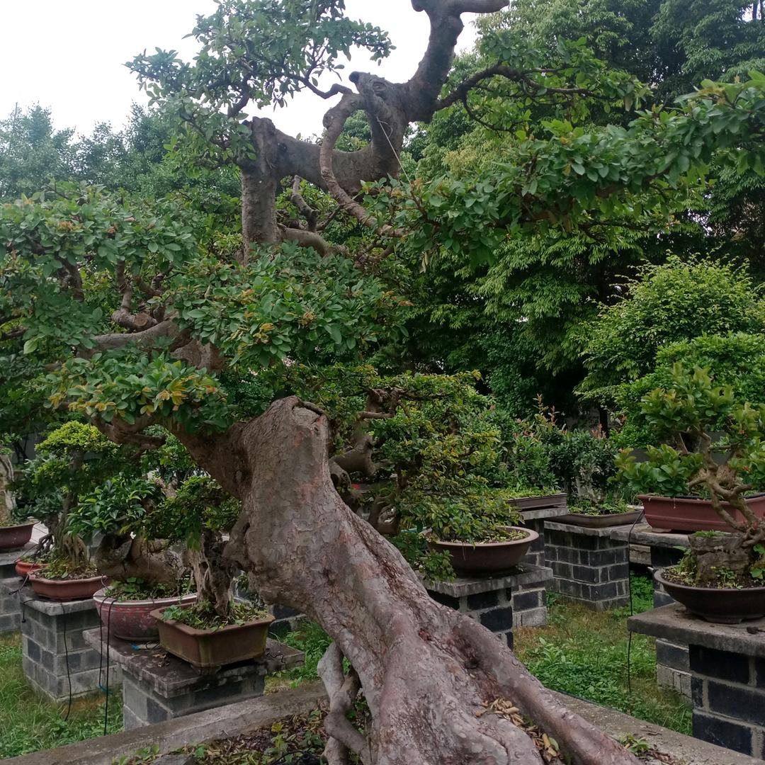 南白龙舰驾校老杨