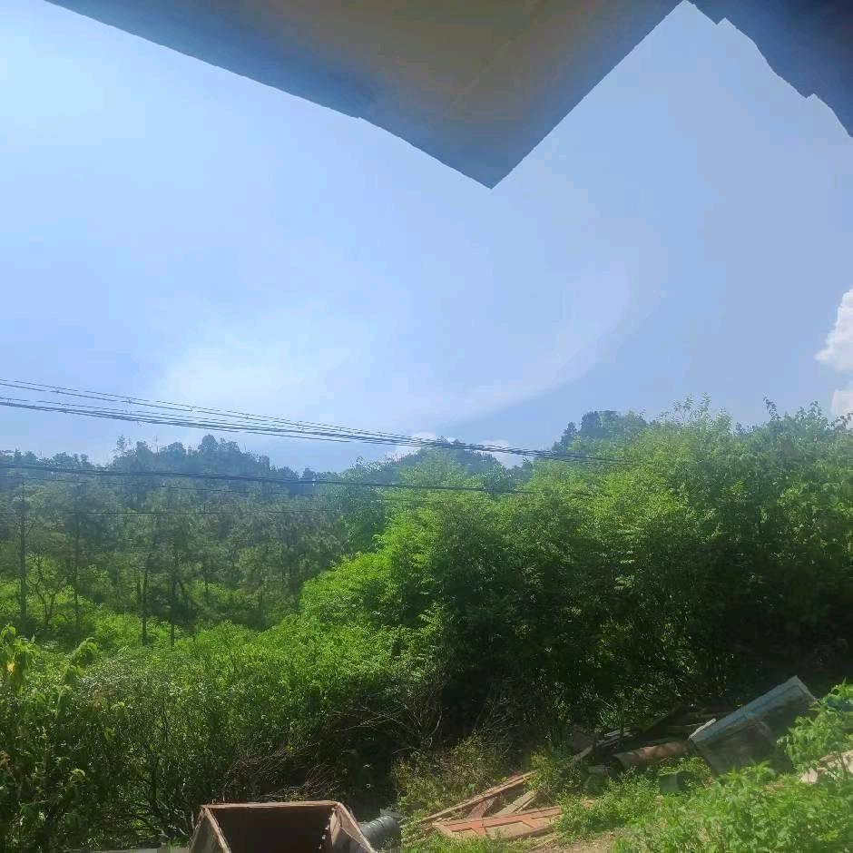 曾哥