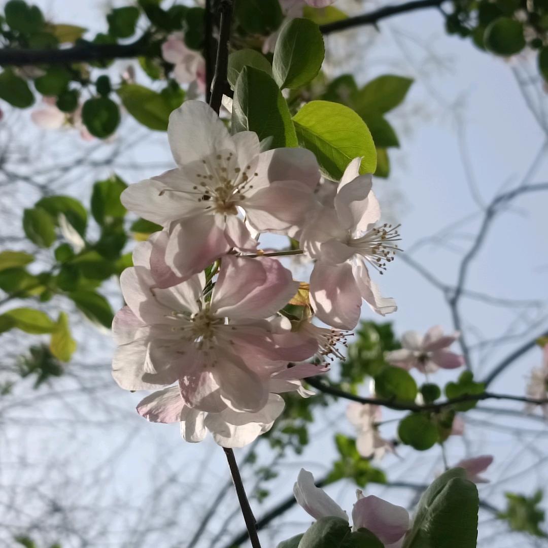 一名一世纪