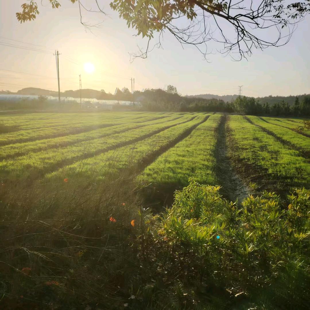 ღ᭄七秒記憶ღ᭄