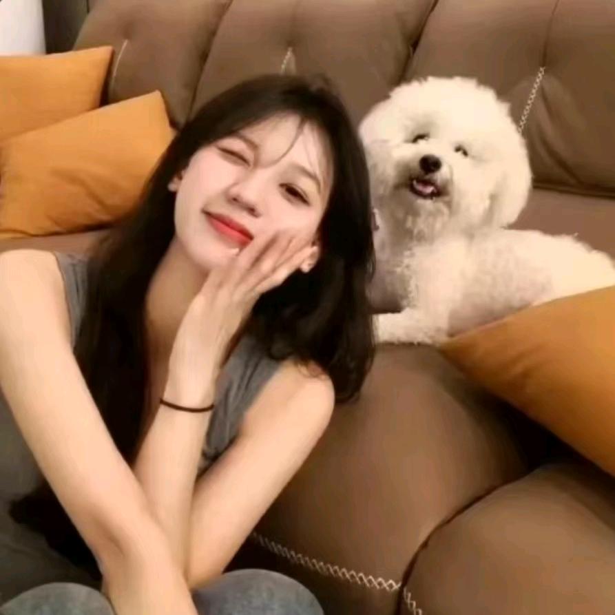 零碎小羊羔🐑