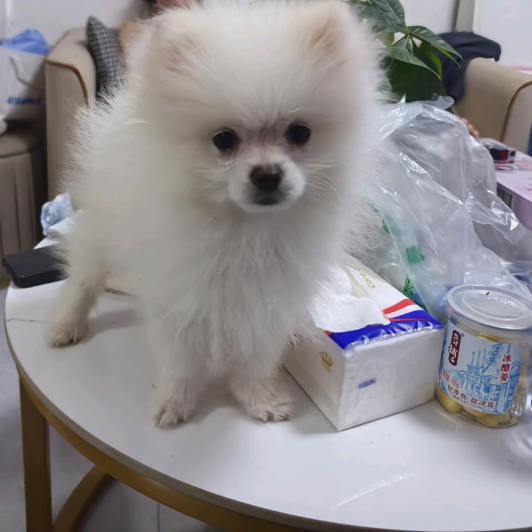 长沙思怕天花板