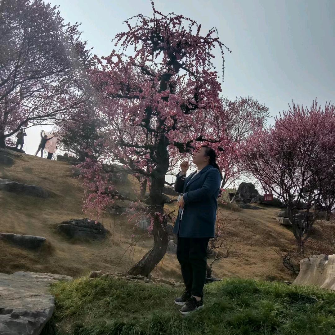 @娄幺妹（义）字辈75年10月的兔！