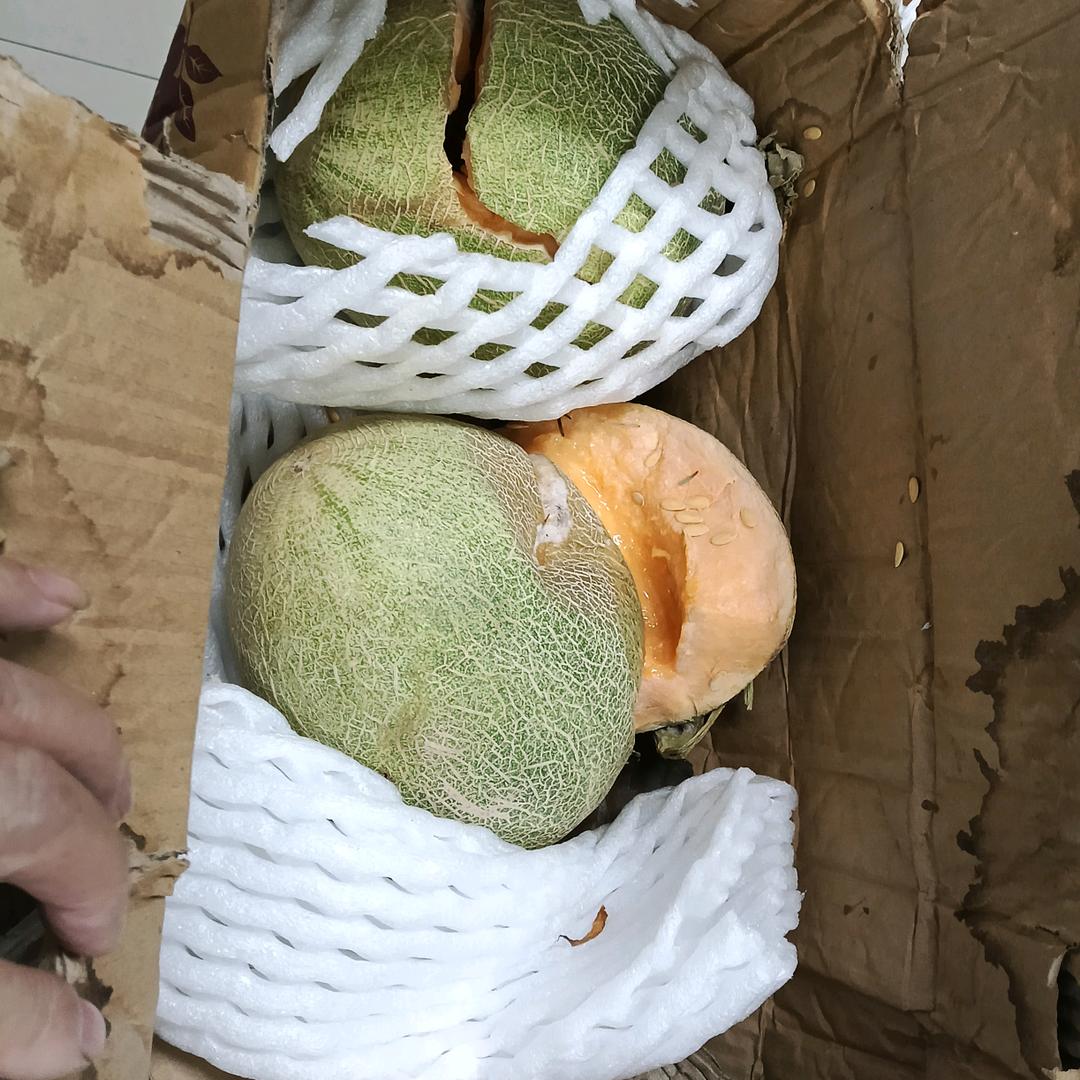 包赢