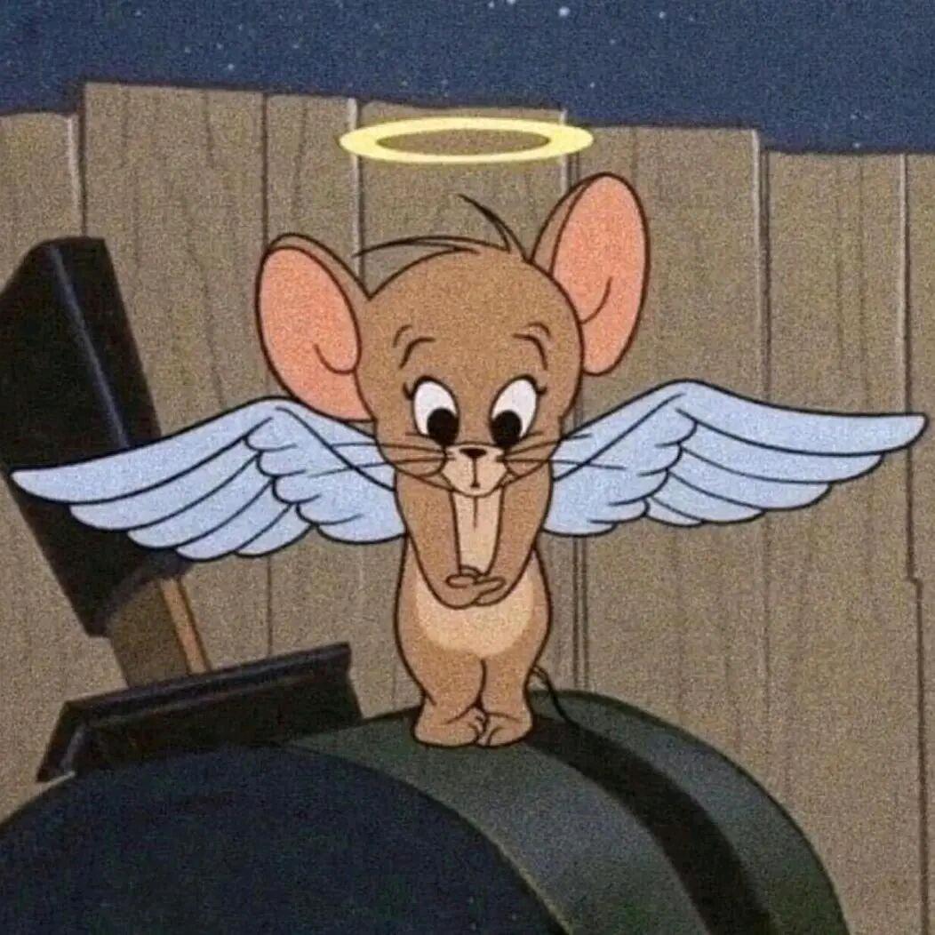 ❤️三角洲鼠鼠玩家