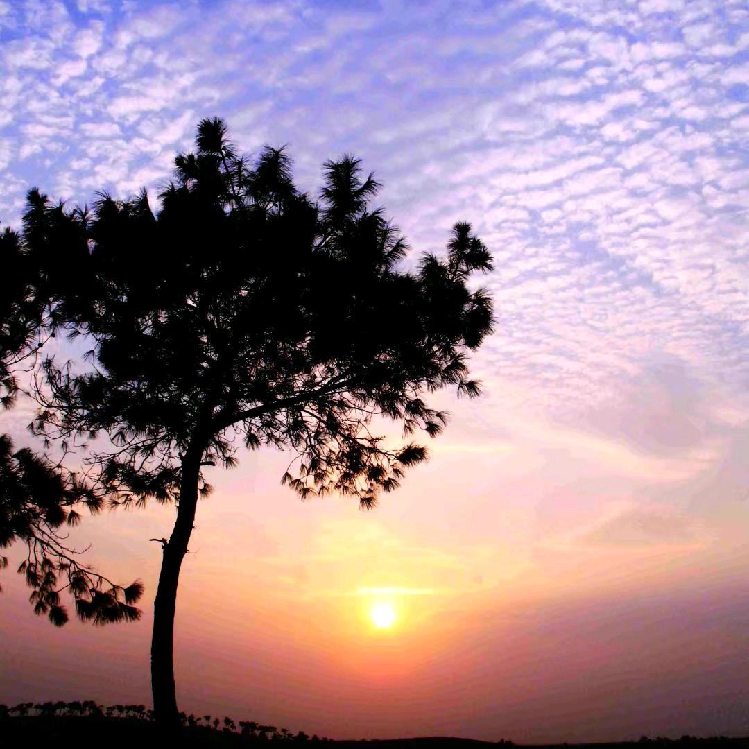 ☀斜阳🍀依旧✨