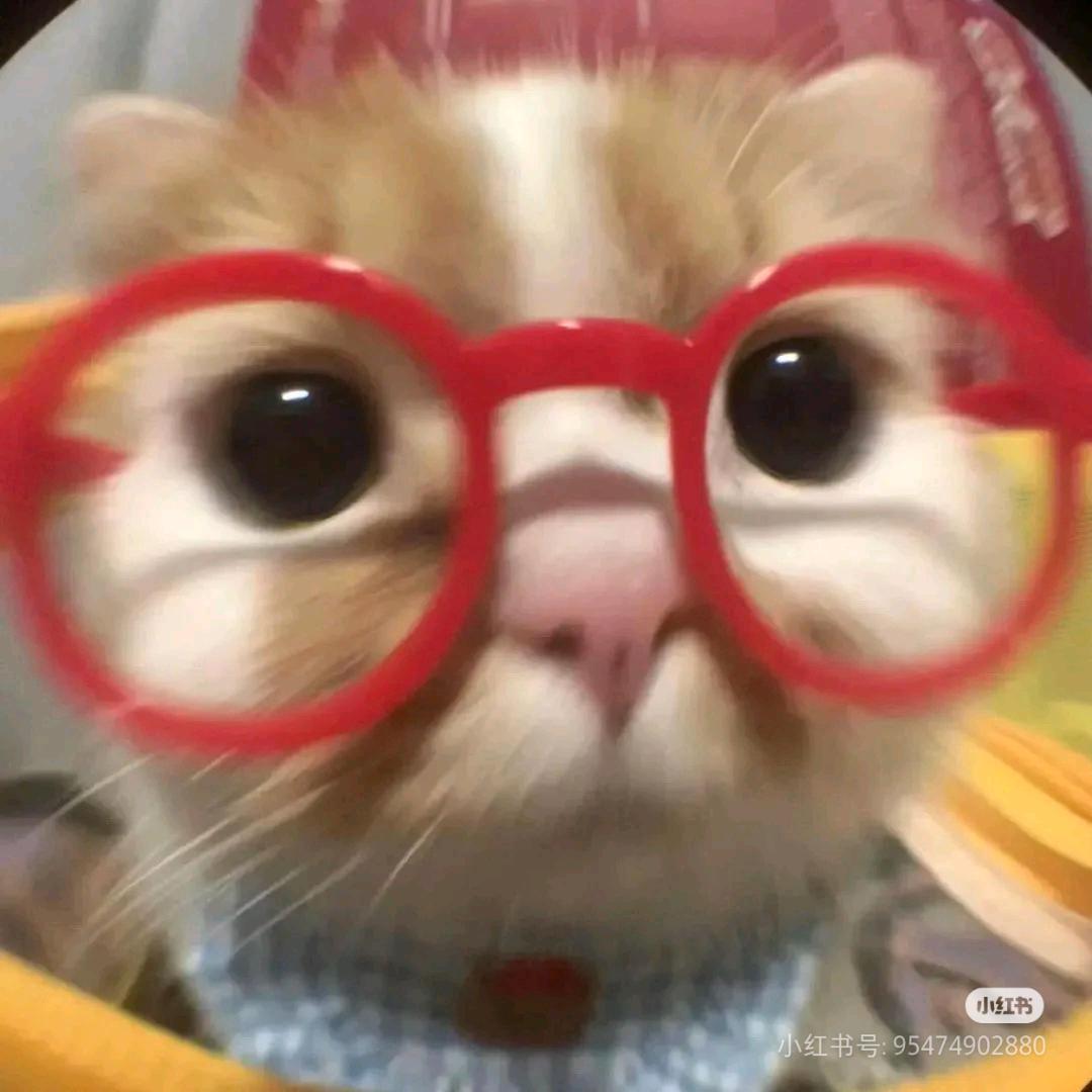桢不错.