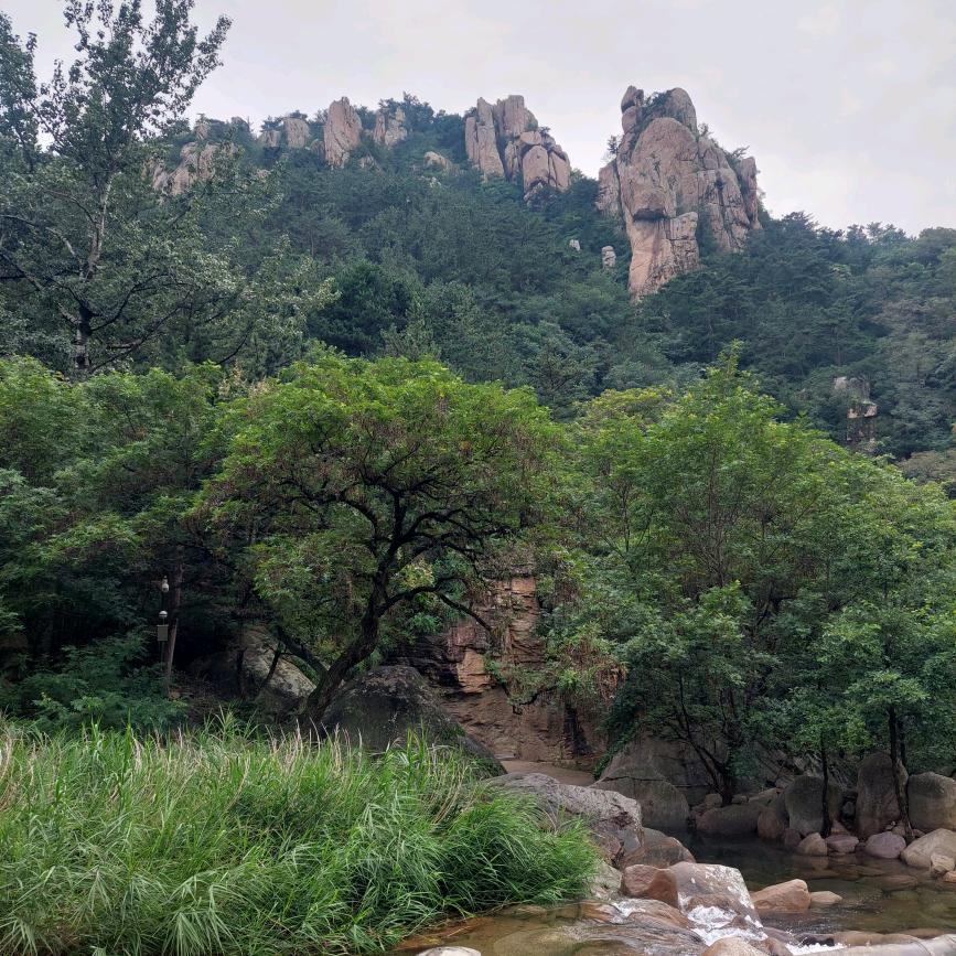 心游人间