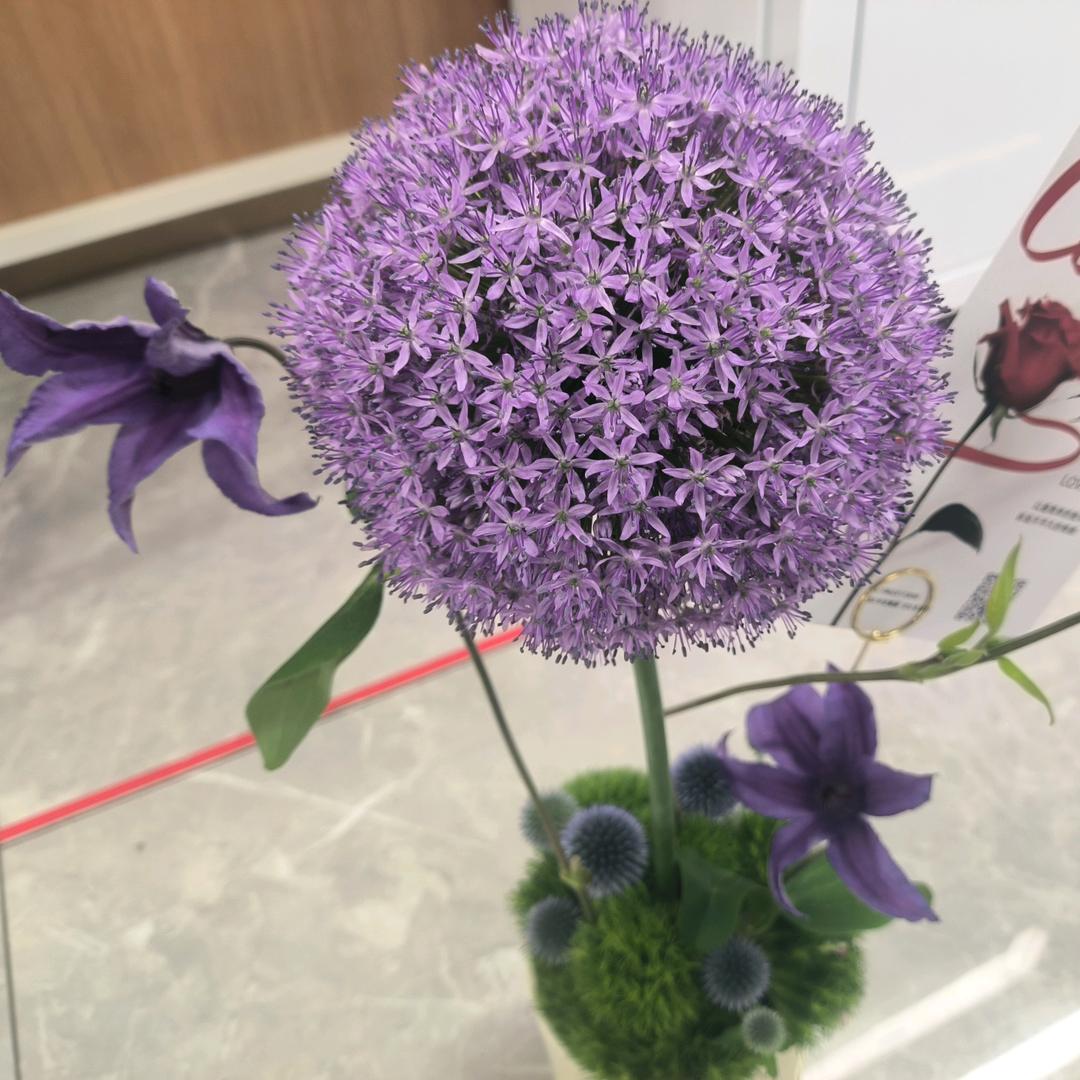 🌸🐁🌷香水百合🌸