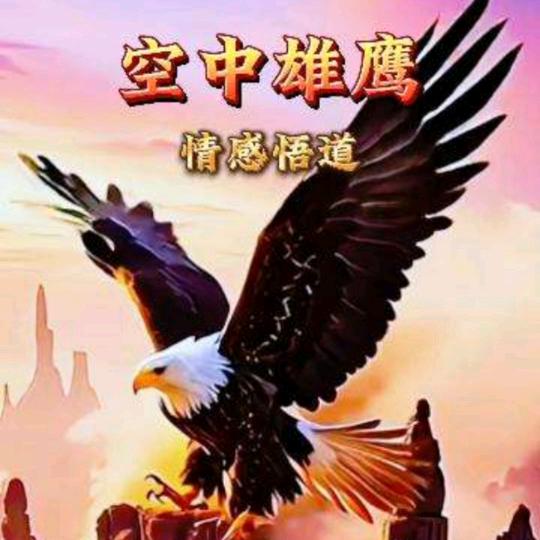 空中雄鹰