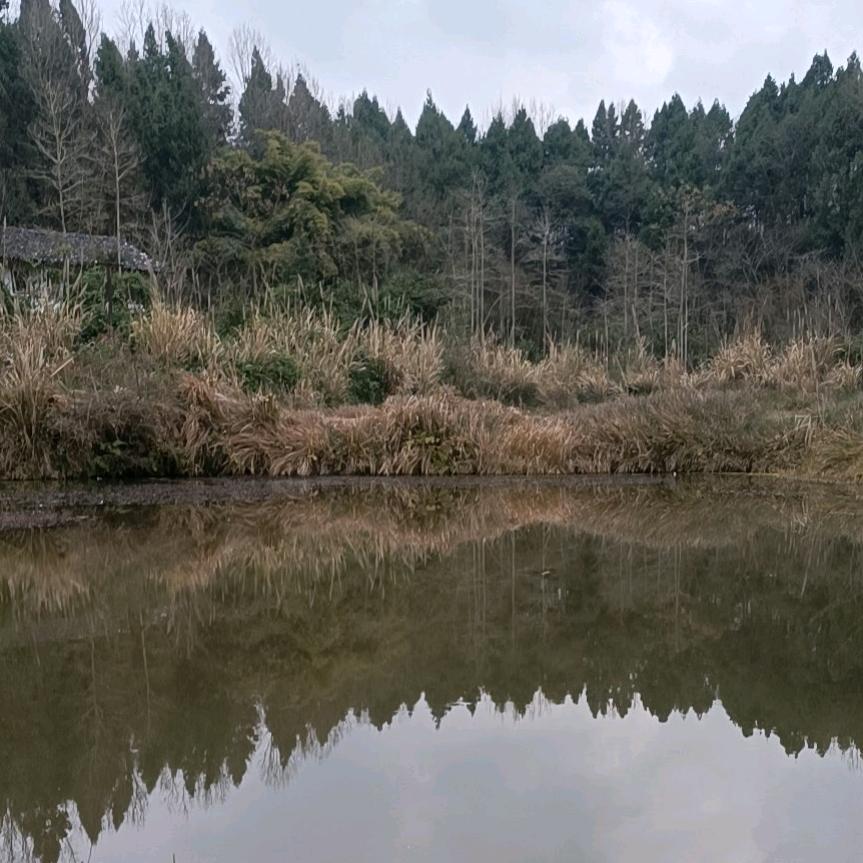 努力拼搏