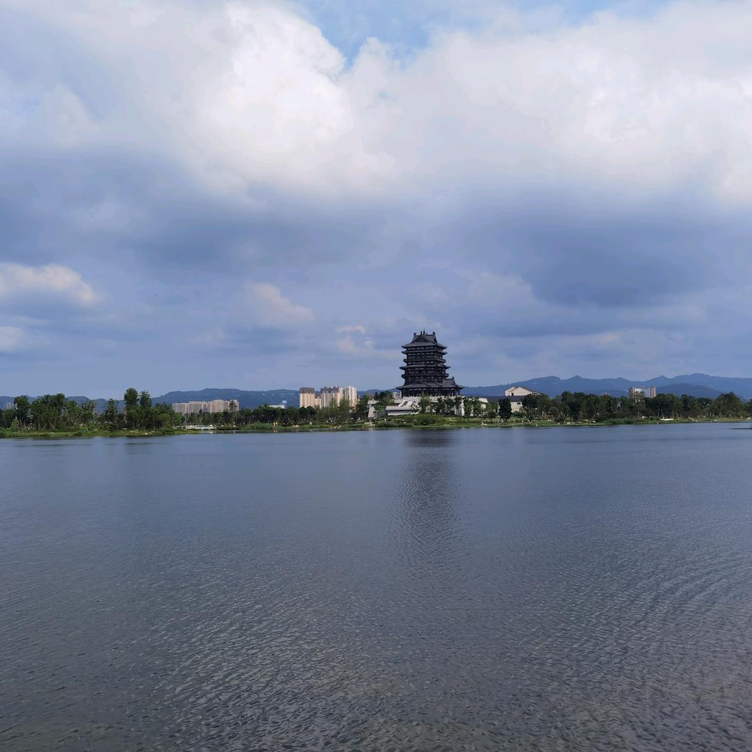 山楂树下