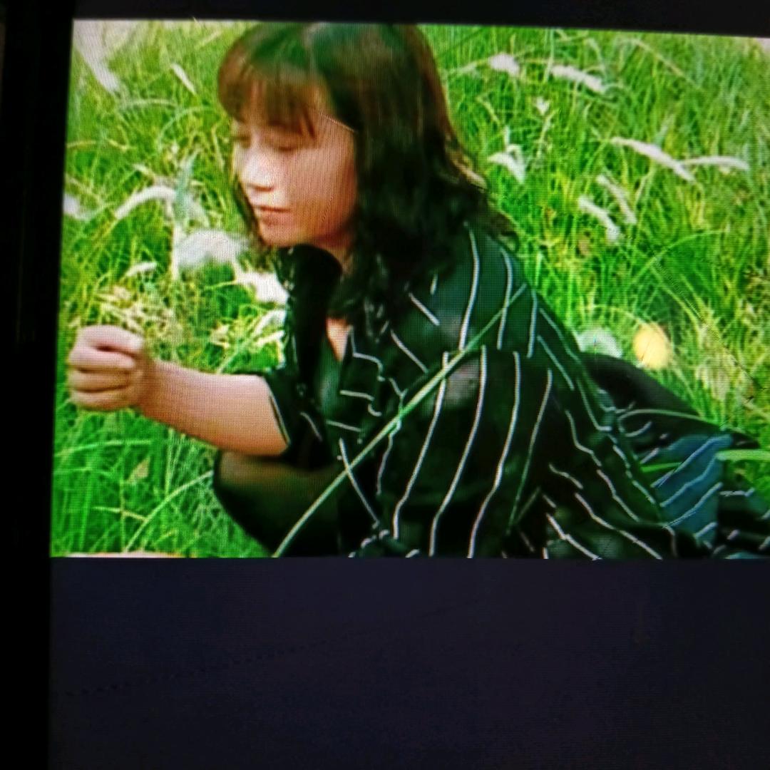 自由自在 （拒绝私聊）