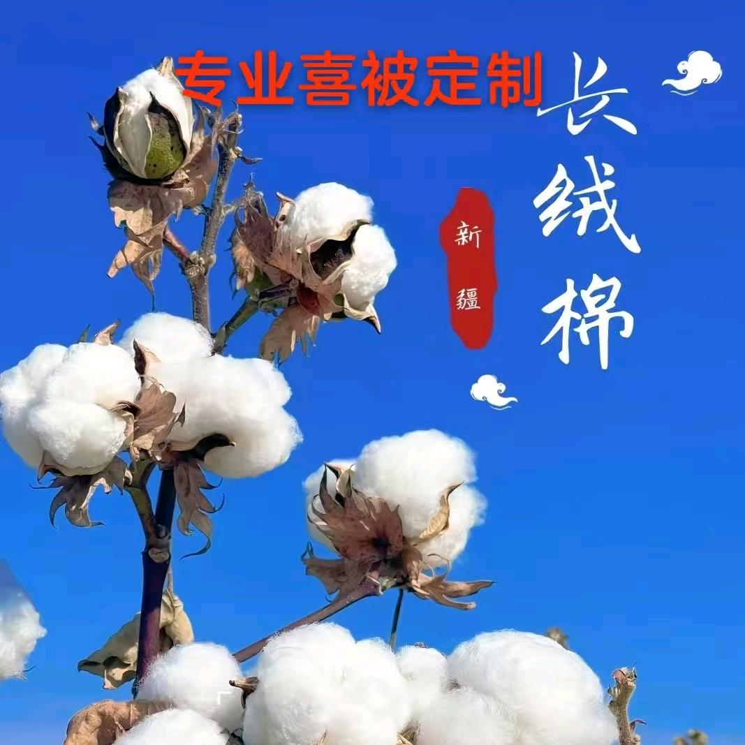艾诺莱（喜被哥）