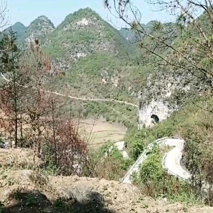 苦就吃糖