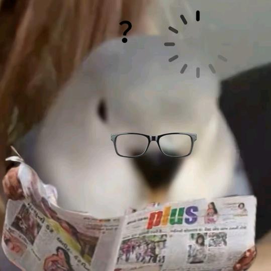 南总