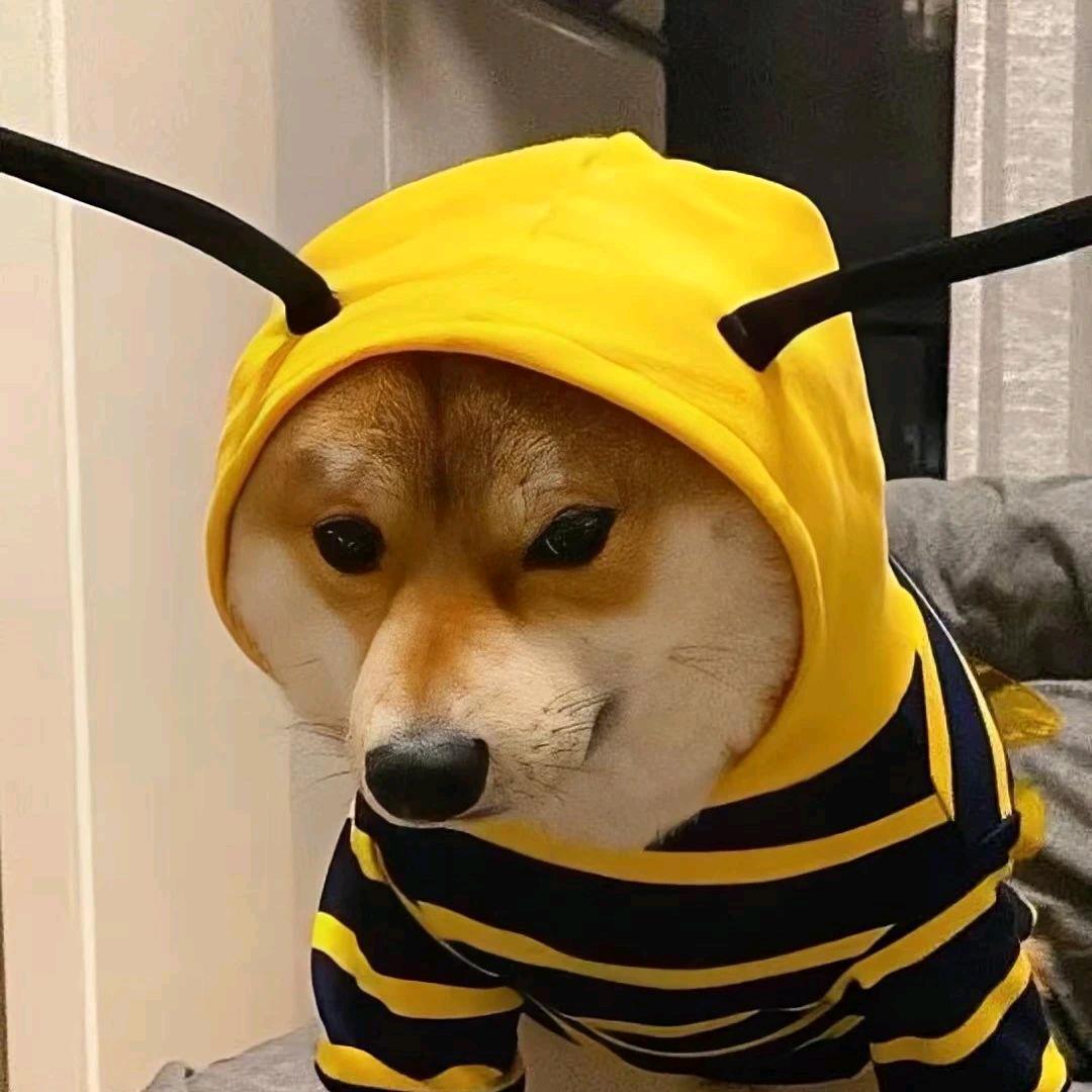 小G~