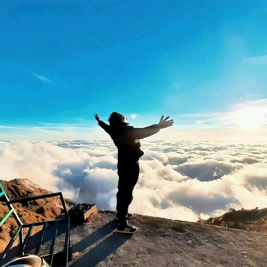 随心⁶⁸¹💫